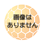no_img.gif